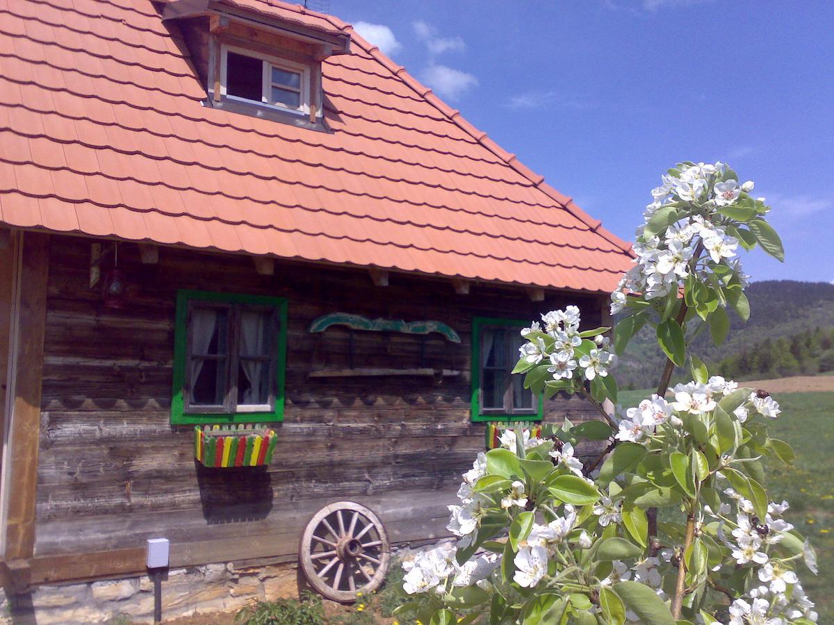 Apartments Sekler Rudno Pokoj fotografie